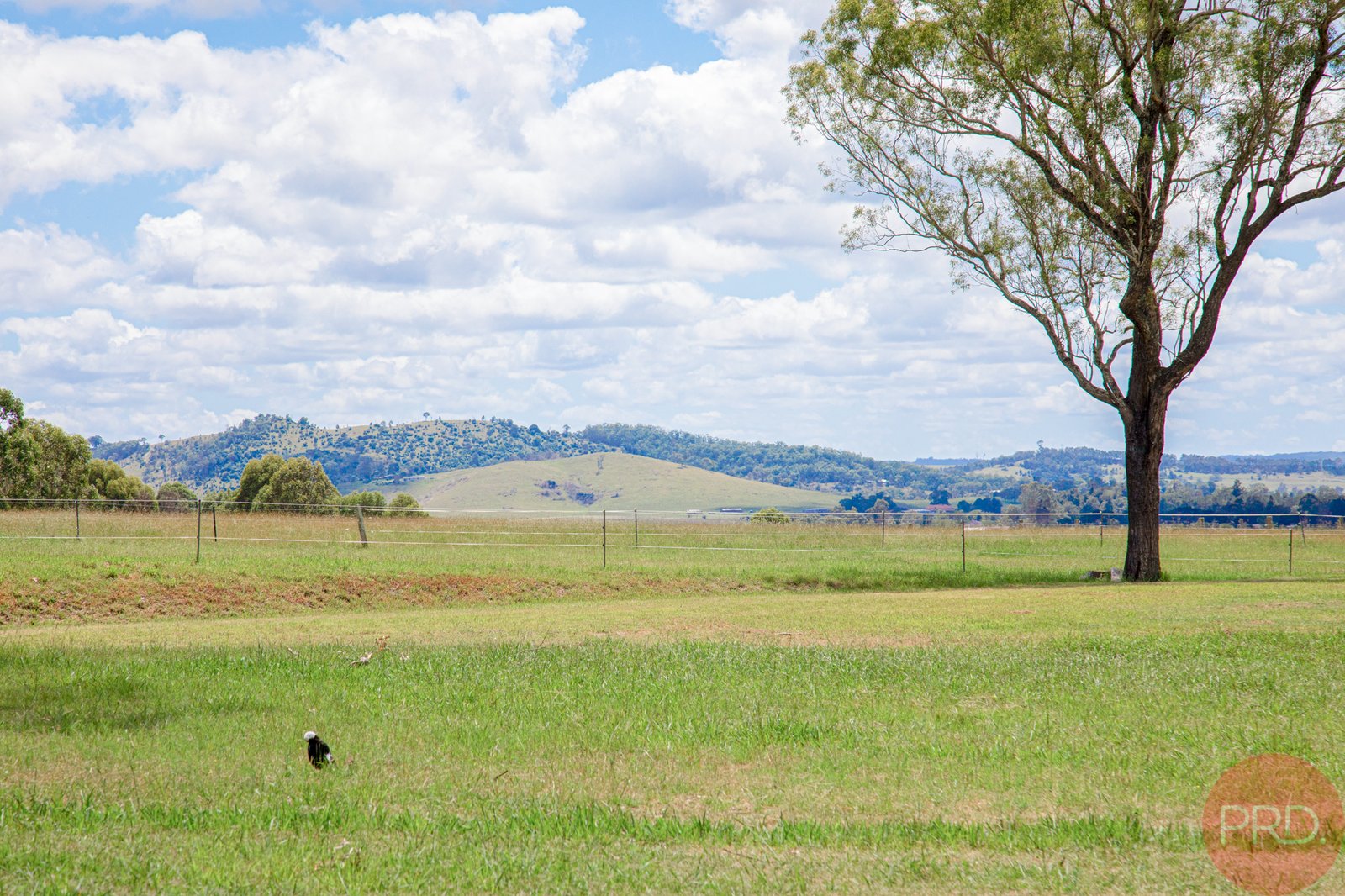 16 Denton Close WINDELLA 28