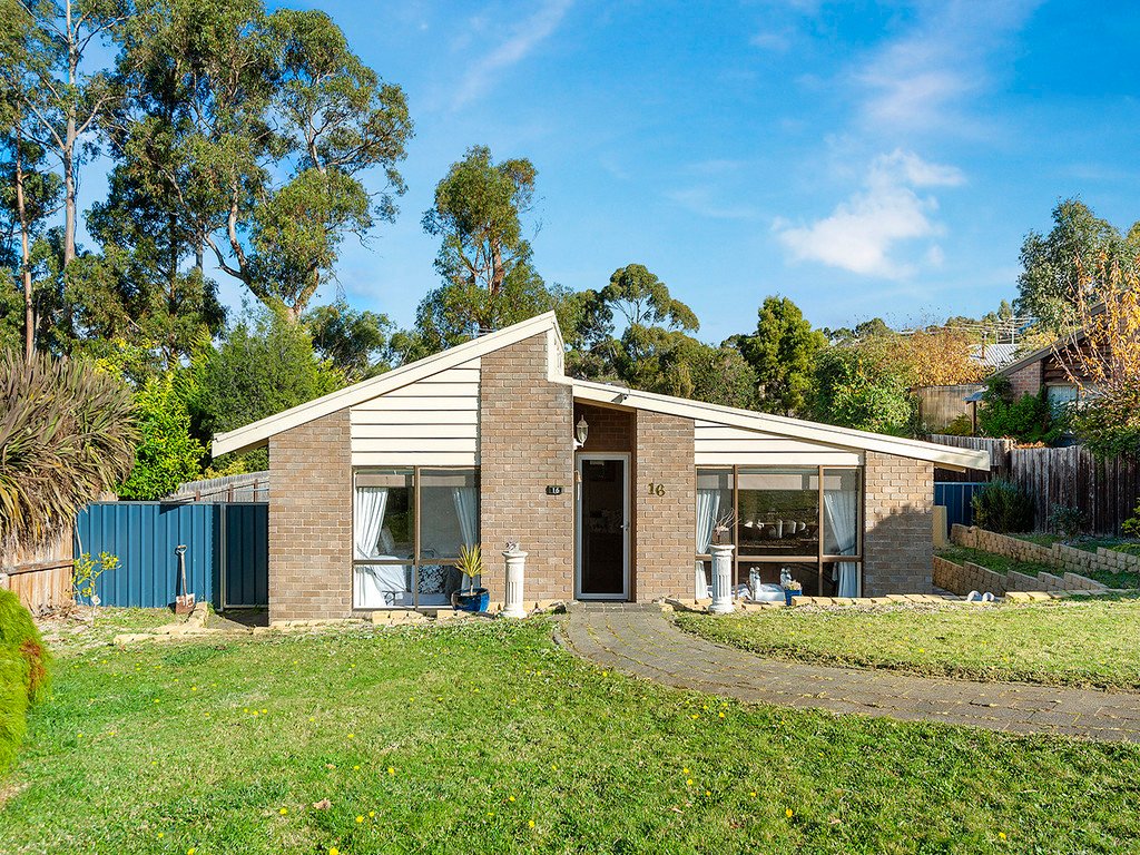 16 Drysdale Avenue KINGSTON 1