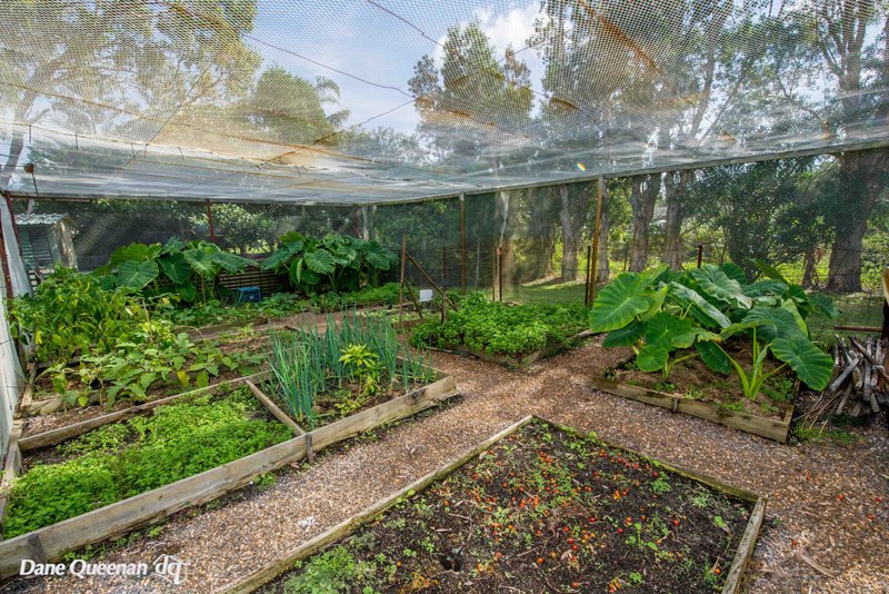 16 Eucalyptus Drive ONE MILE 26