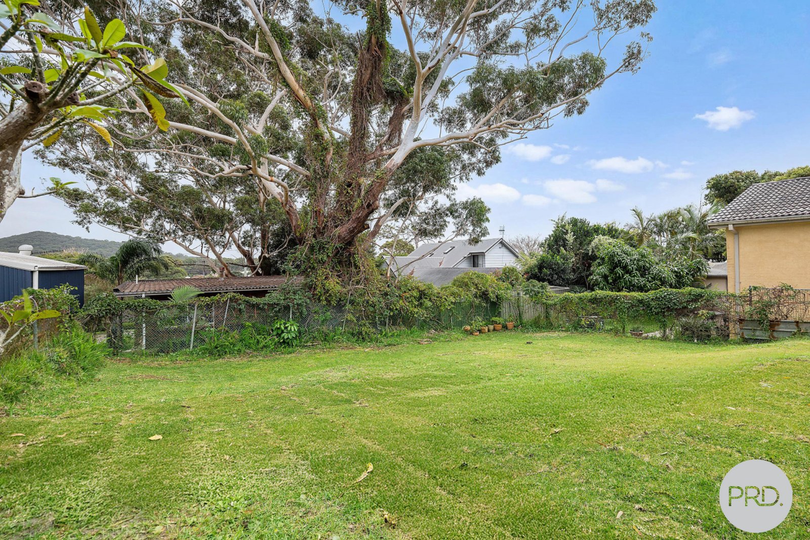 16 Flannel Flower Fairway SHOAL BAY 10