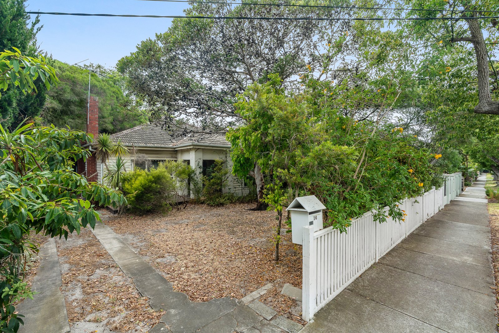 Gallery: 16 Florence Street