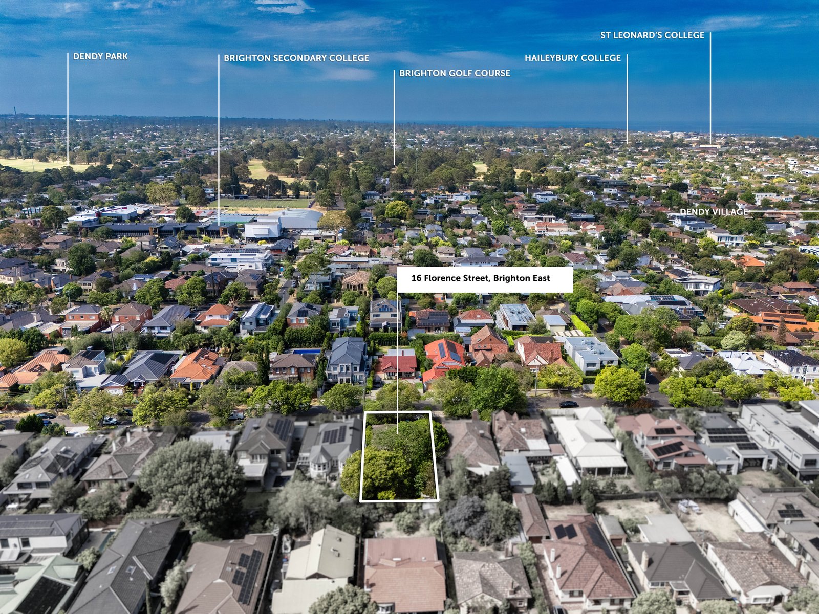 Gallery: 16 Florence Street