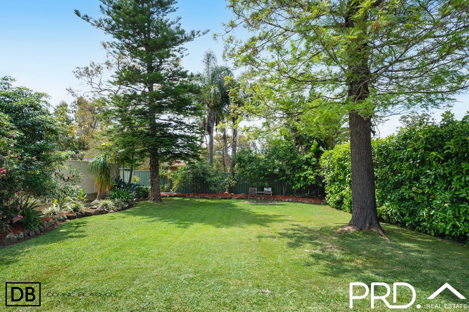 16 Forrest Road EAST HILLS 15