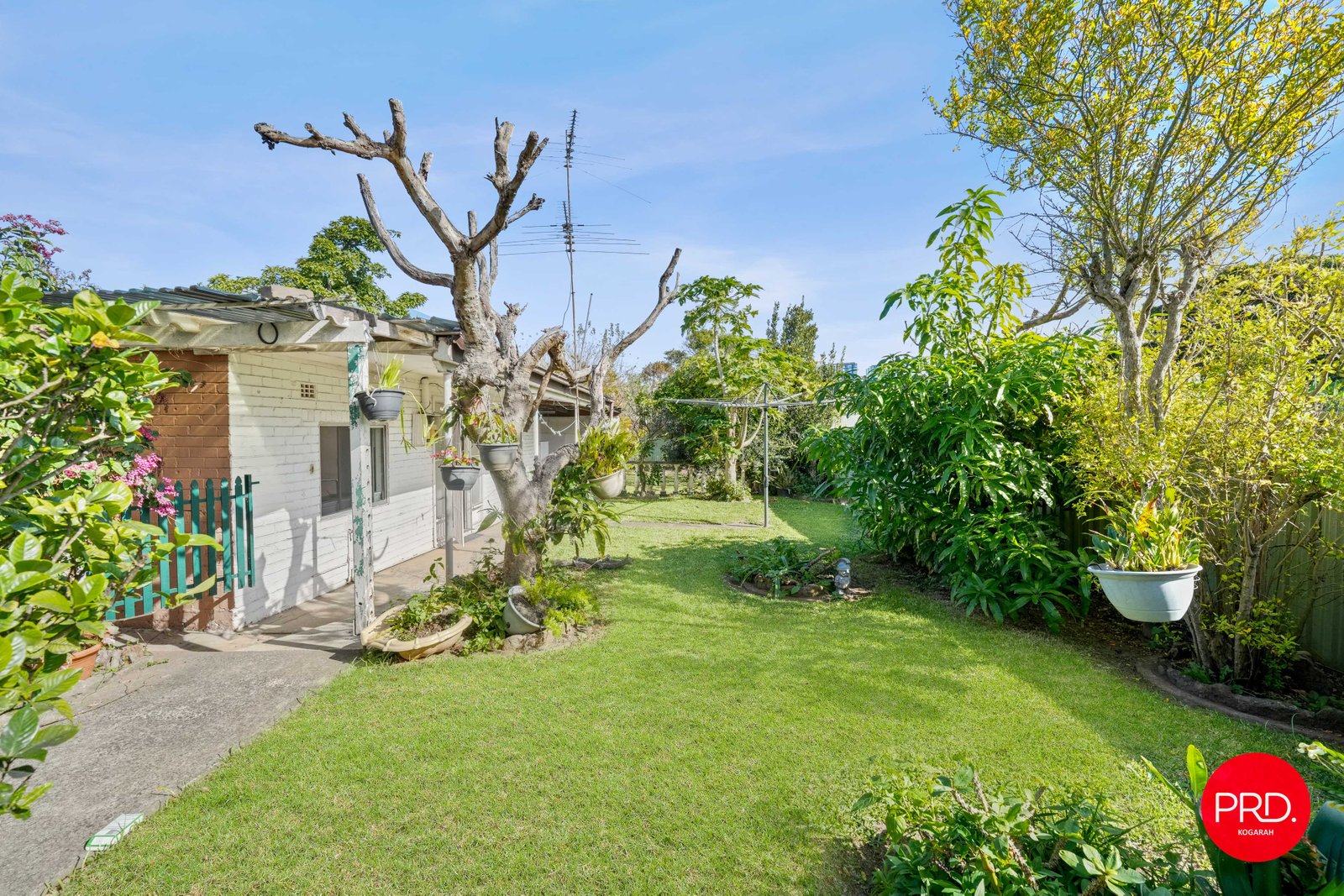 16 Gannon Street TEMPE 12