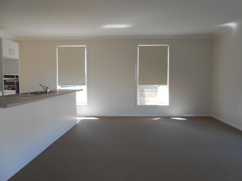 16 Goodwin Street TAMWORTH 3