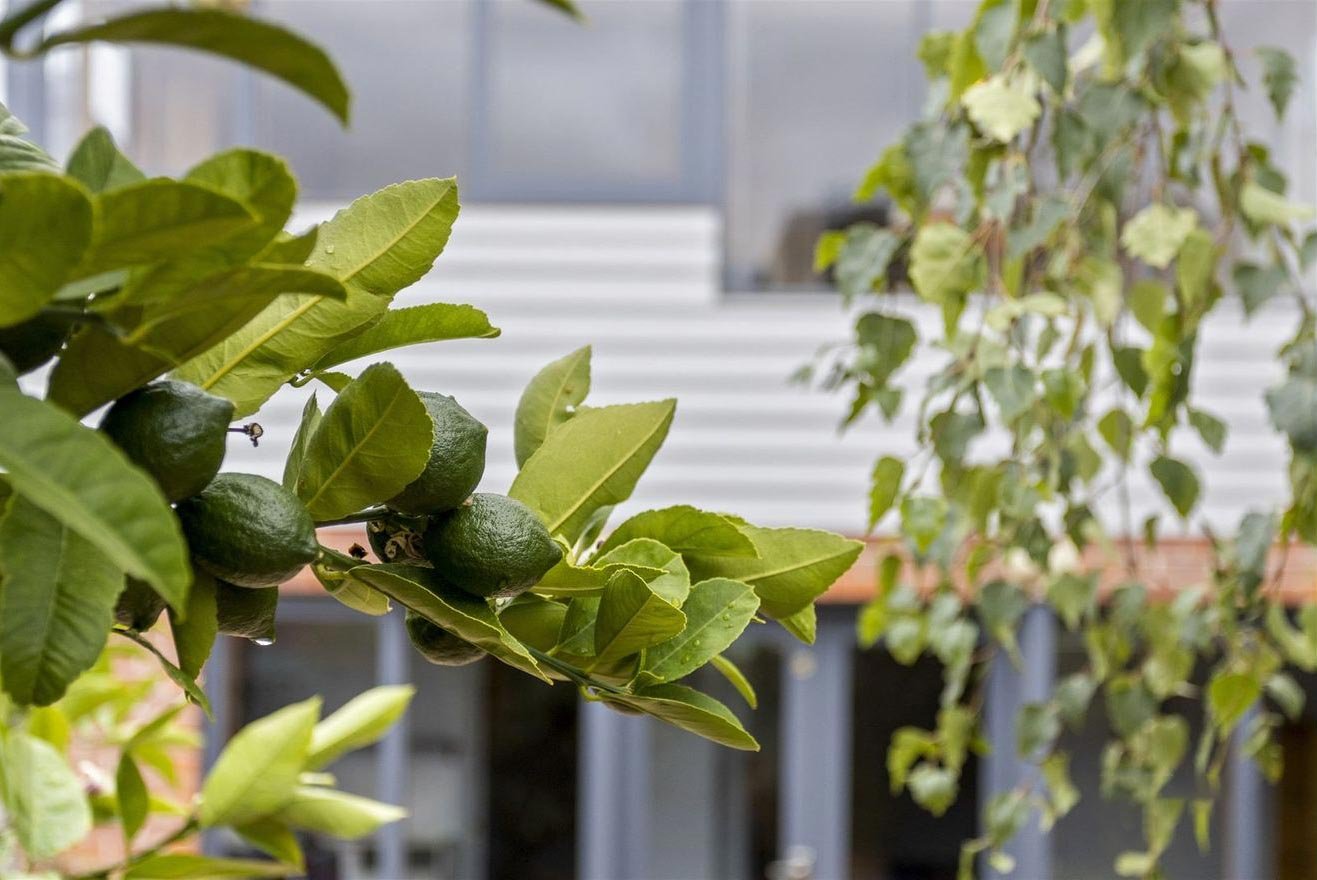 16 Goulburn Street HOBART 23