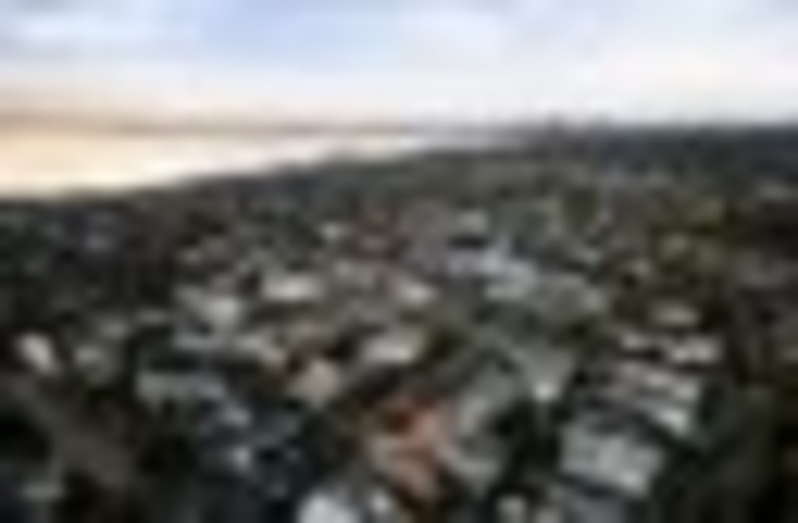 16 Gray Street, Brighton, 3186