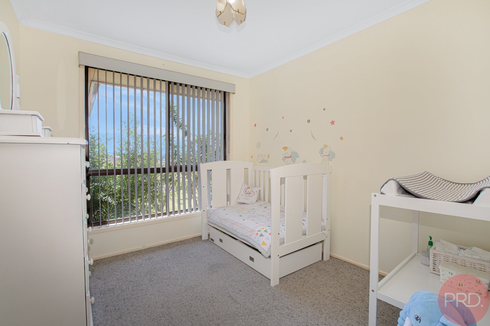 16 Hague Street RUTHERFORD 15