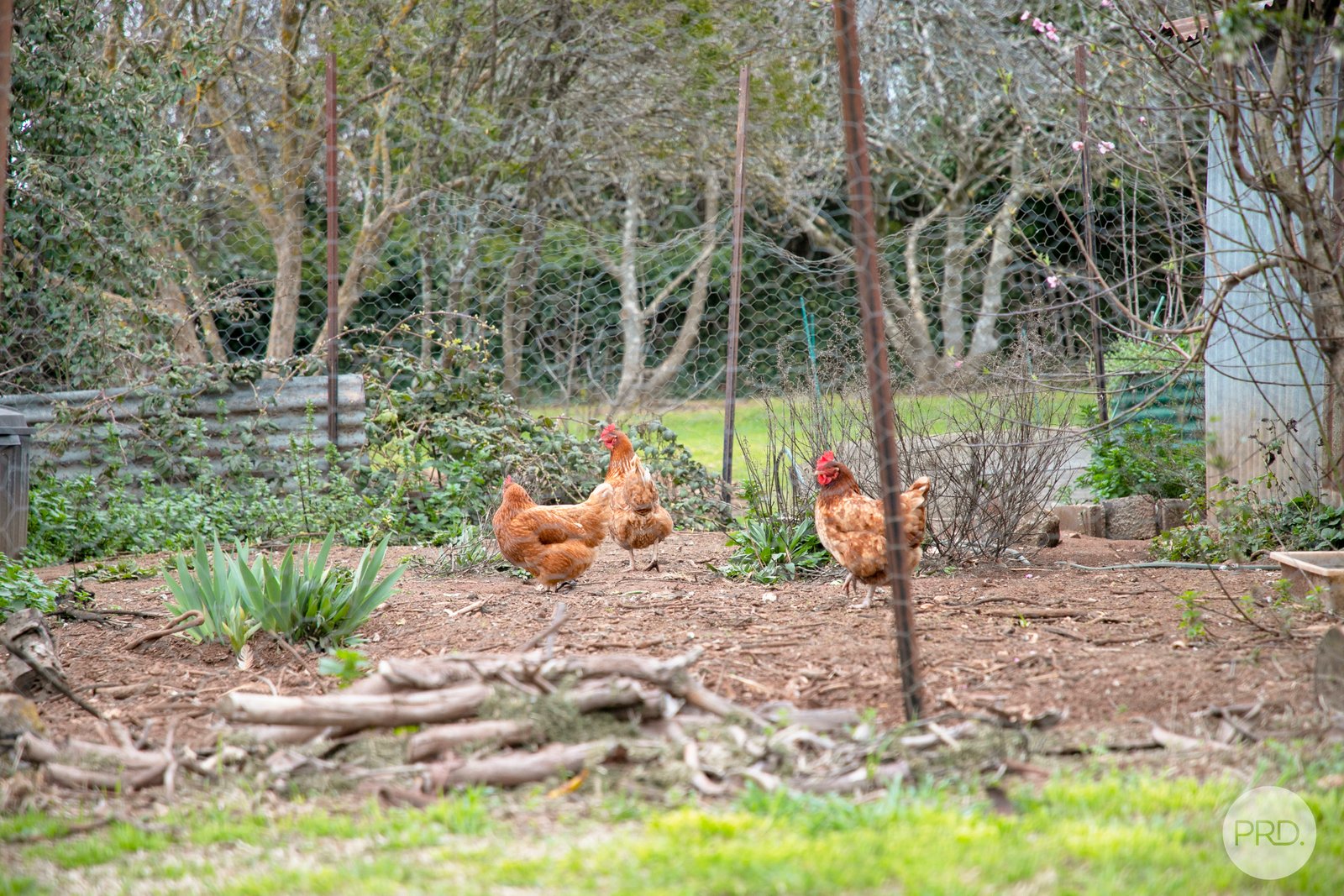 16 Hepburn Street SMEATON 17