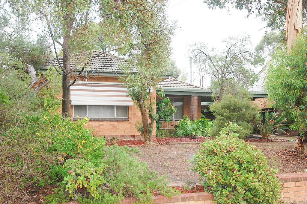 16 Higgins Avenue WAGGA WAGGA 1