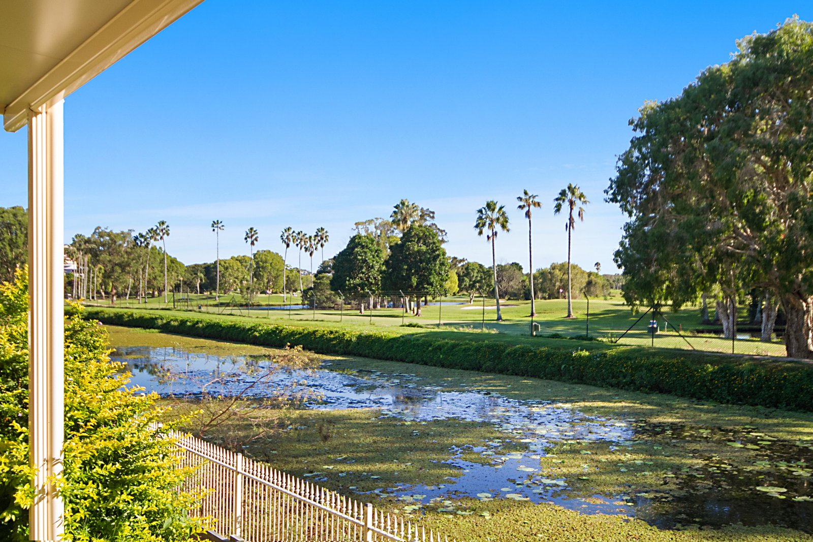 16 Huntingdale Place BANORA POINT 2