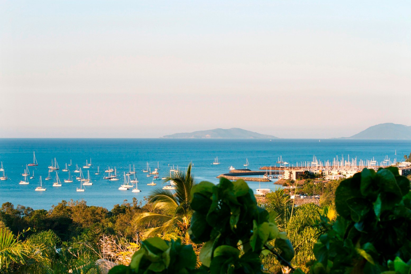 16 Illawong Street CANNONVALE 4