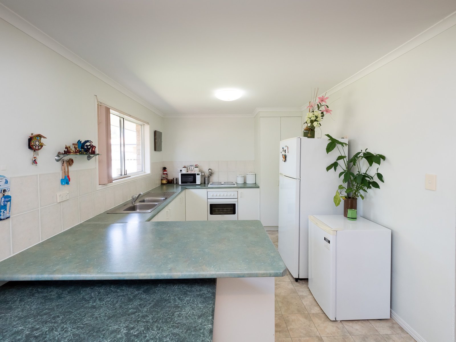 16 Ivybird Court TORQUAY 5