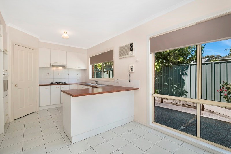 16 Jeffrey Avenue FLORA HILL 3