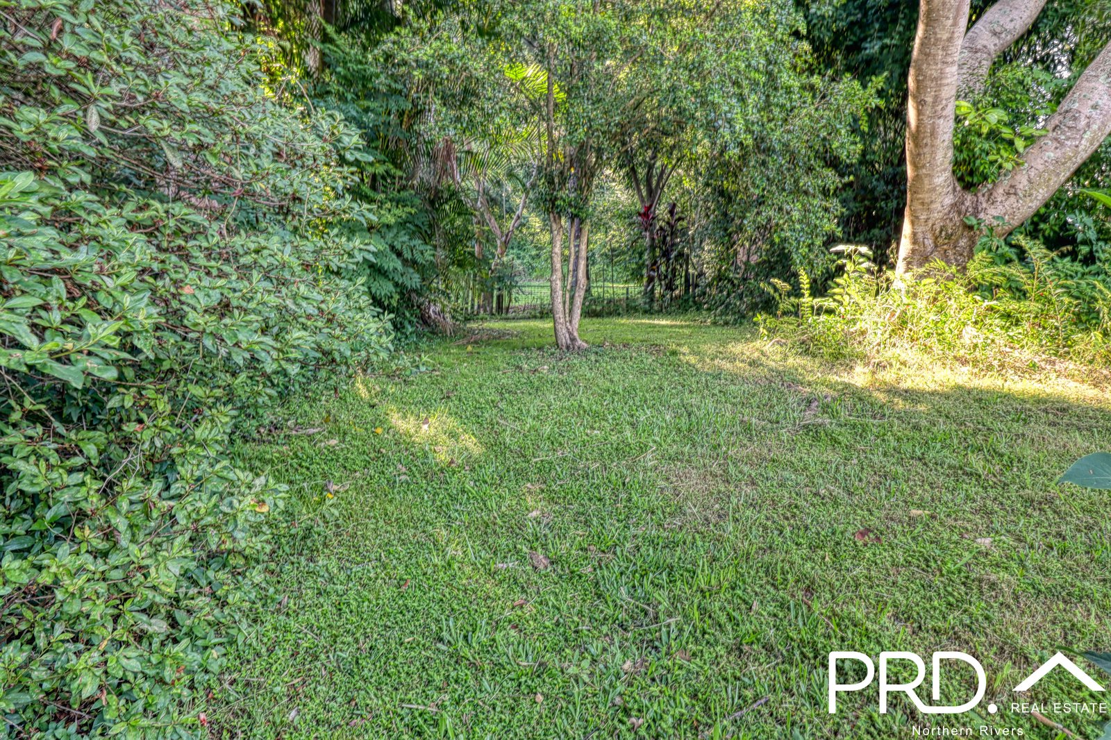 16 Keith Street GIRARDS HILL 13