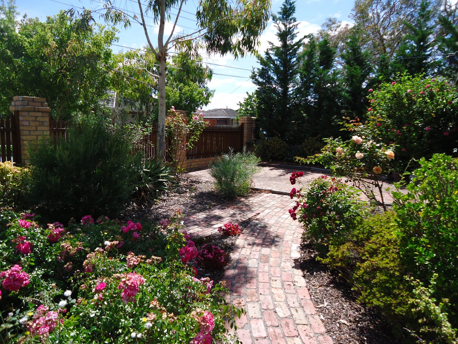 Gallery: 16 Kelly Avenue
