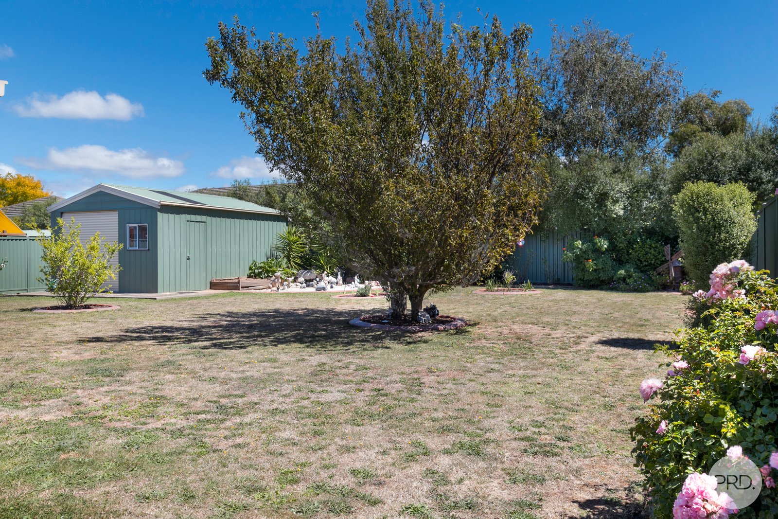 16 Lawrie Drive ALFREDTON 13