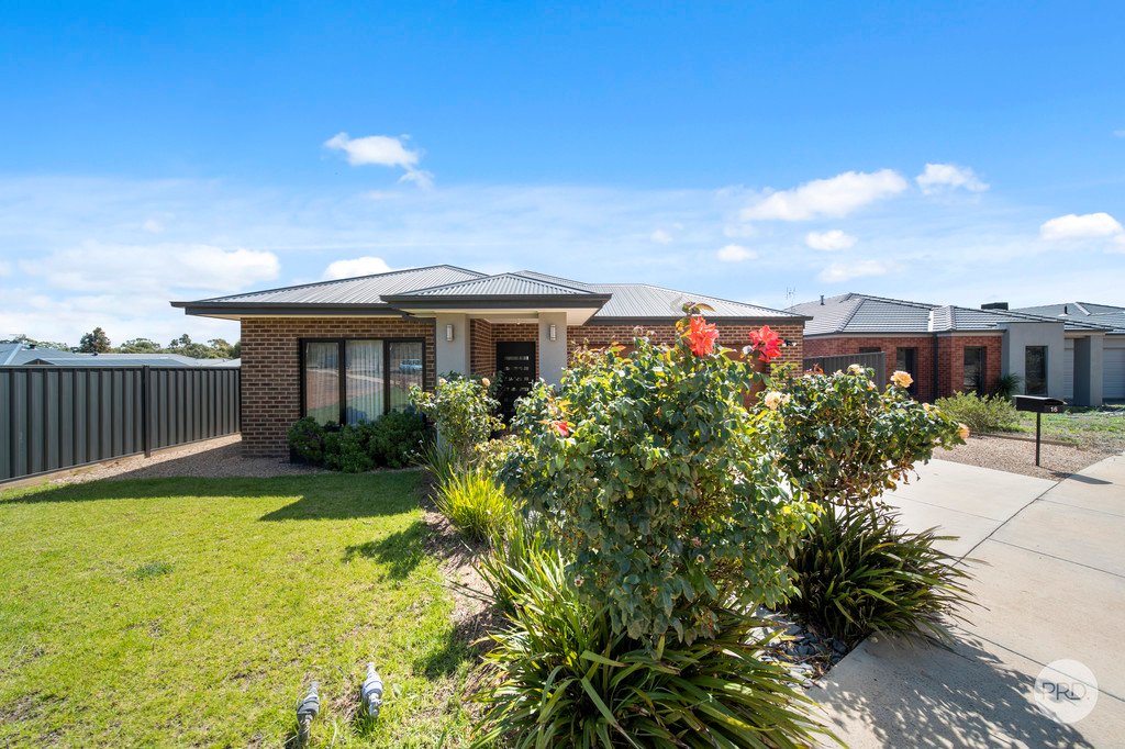 16 Levanda Boulevard JACKASS FLAT 1