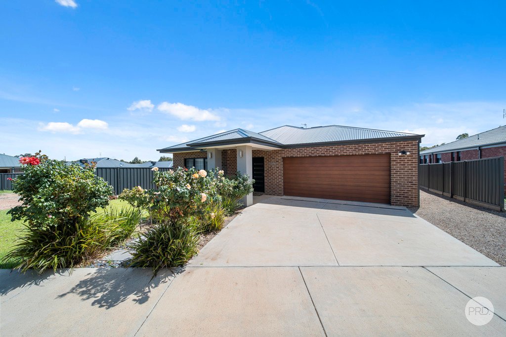 16 Levanda Boulevard JACKASS FLAT 2