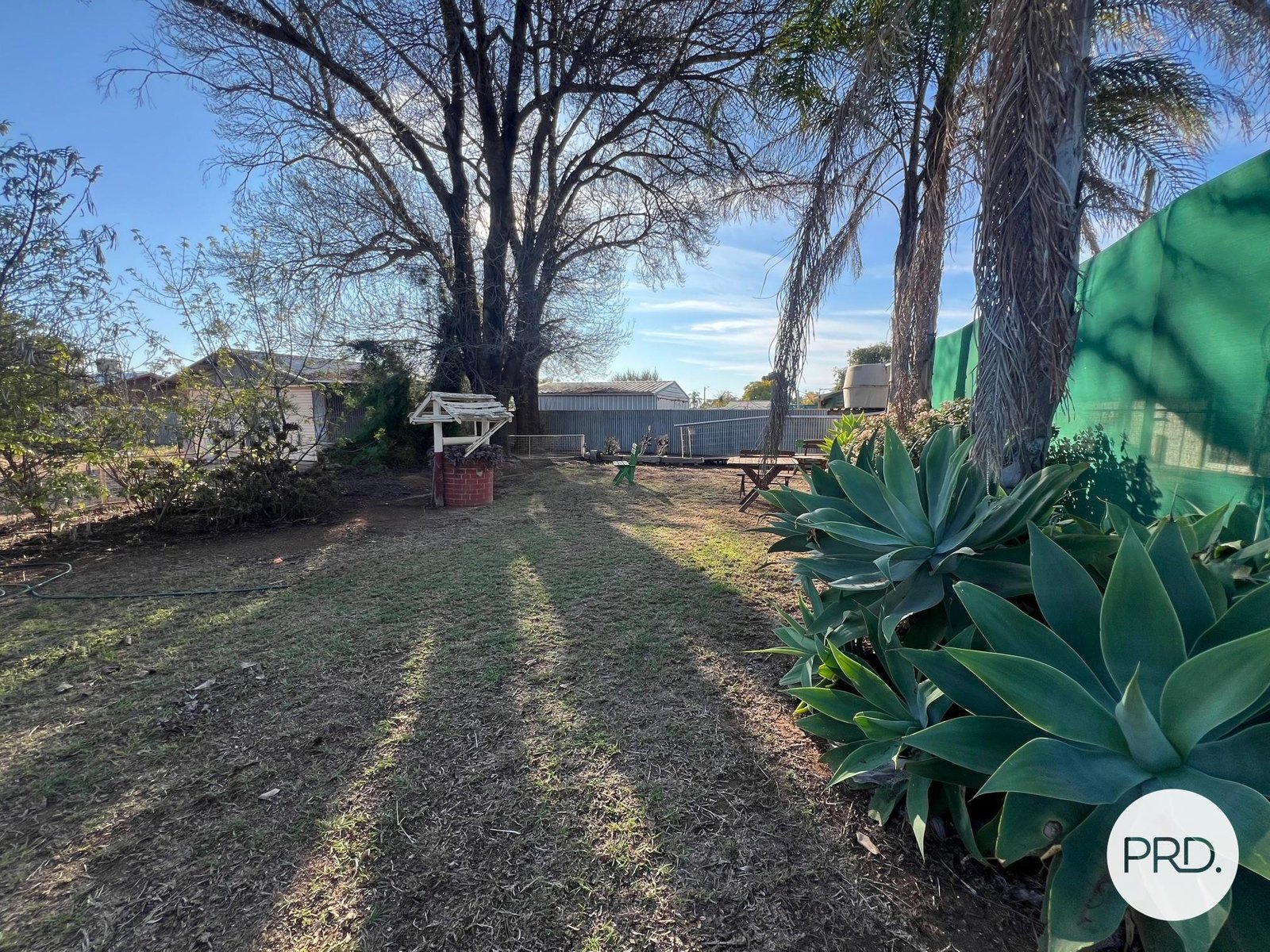 16 Neilpo Street DARETON 22