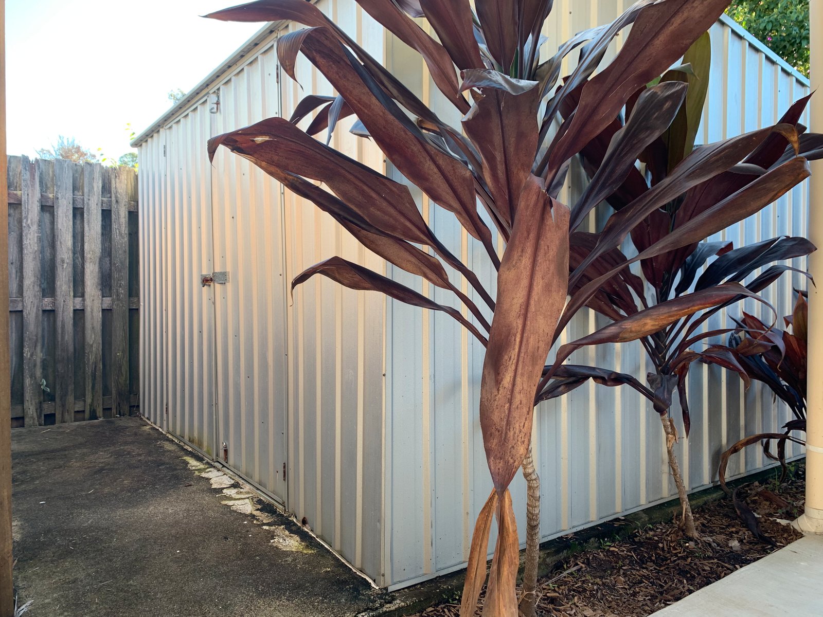 16 Oasis Crescent ELANORA 13