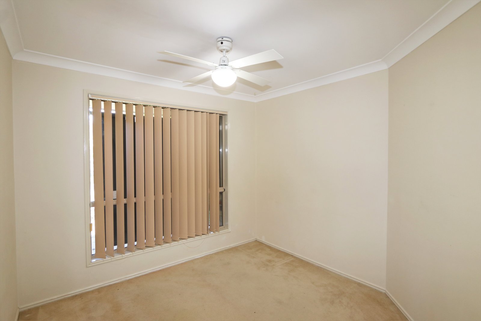 16 Paddington Drive CARRARA 7