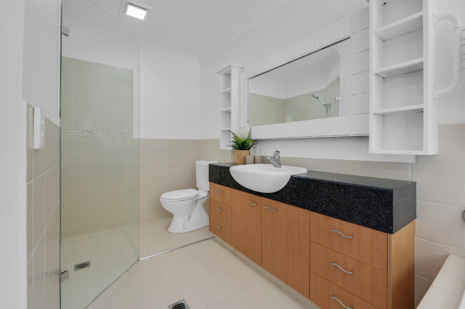 16 Patonga Street ASHMORE 22