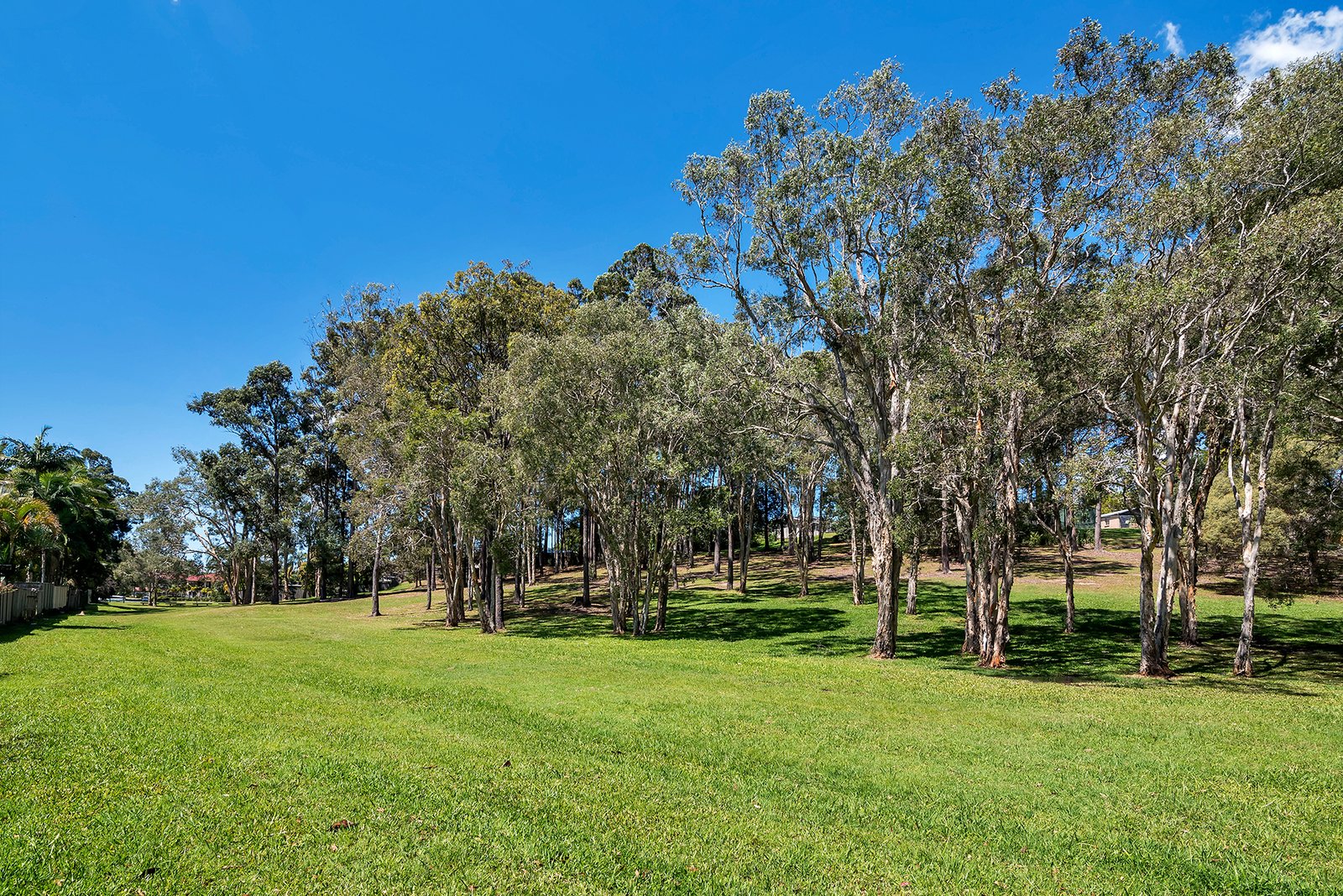 16 Patonga Street ASHMORE 30