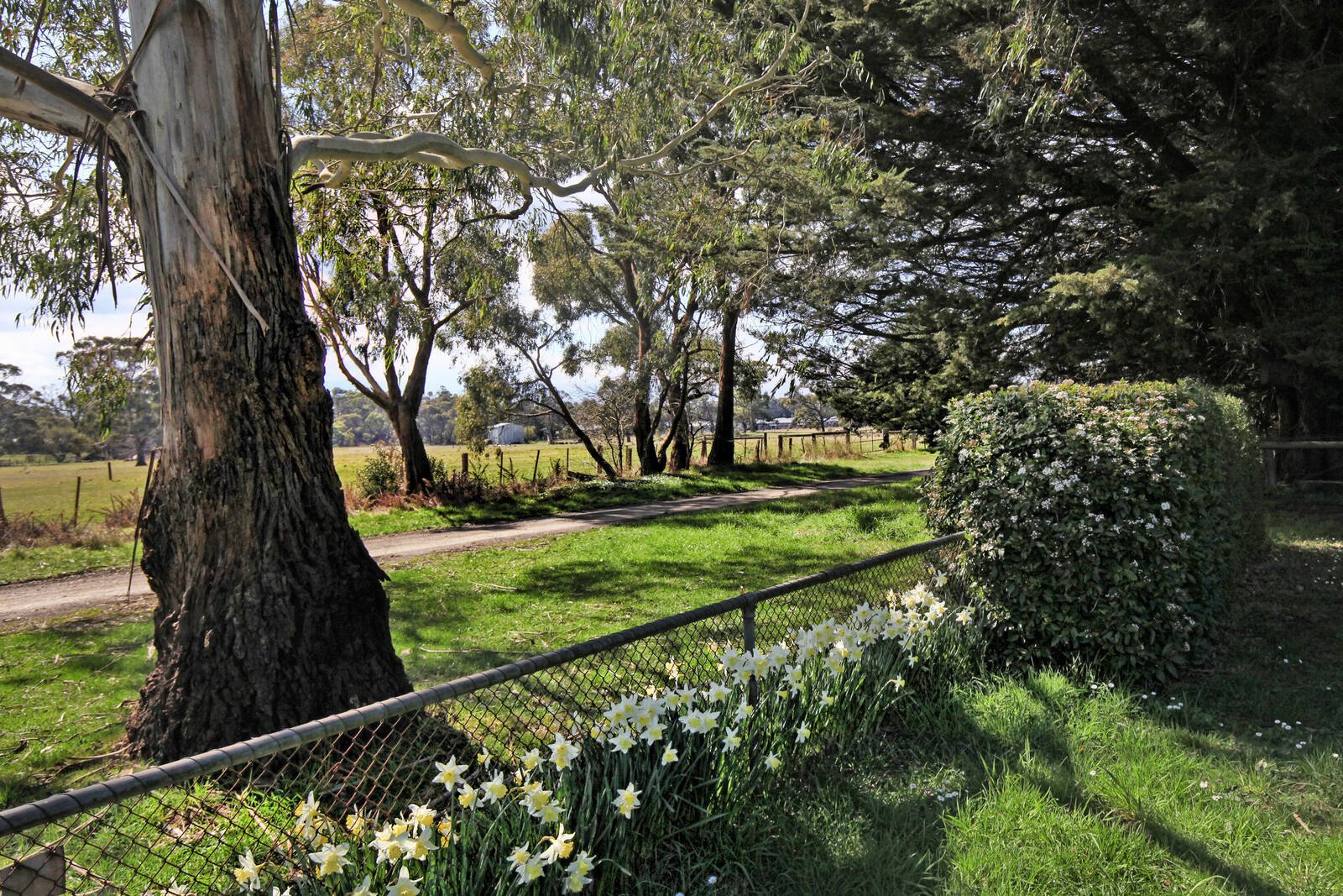 Real Estate and Property in 16 Plants Lane, Woodend, VIC