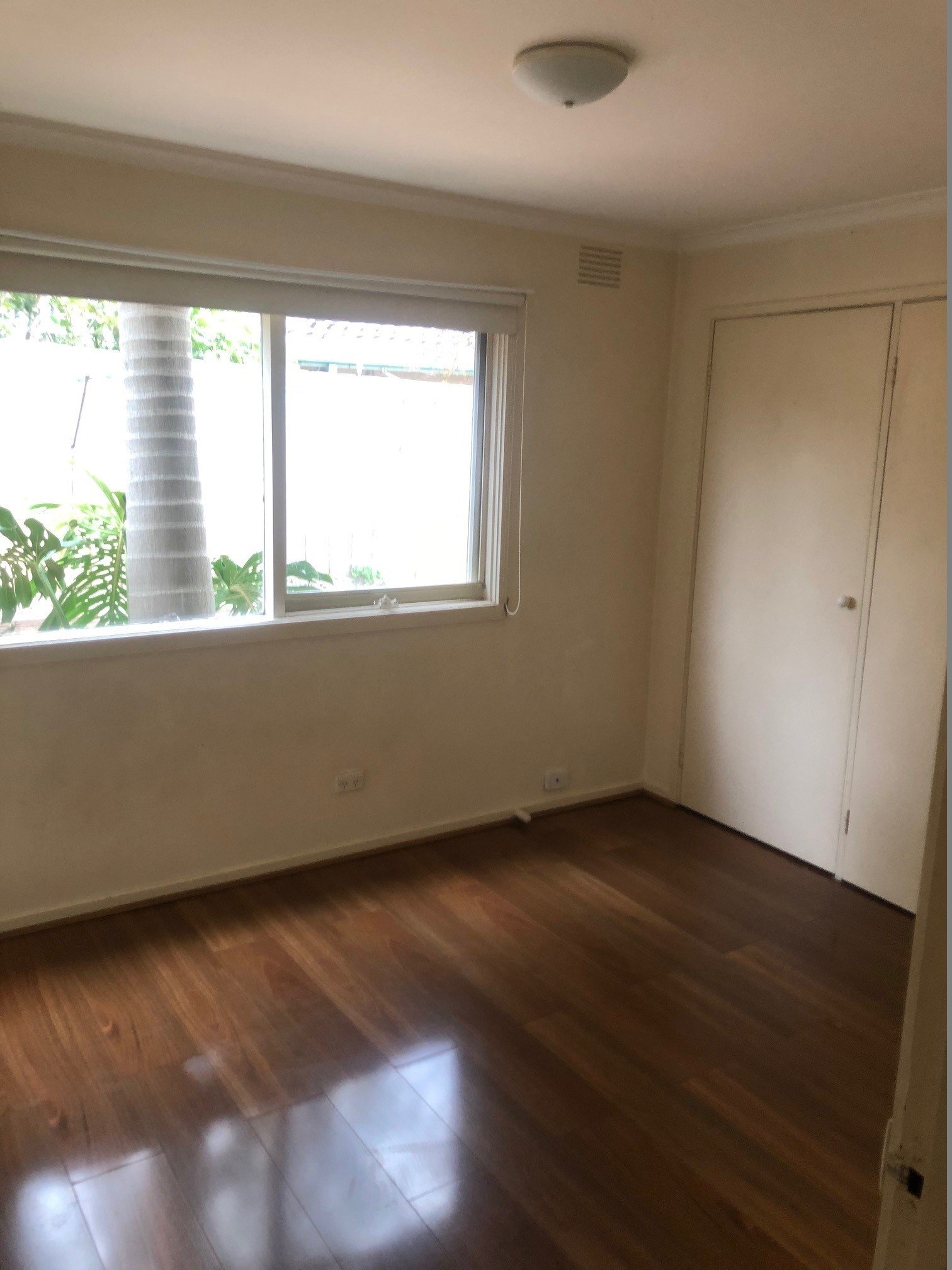 Gallery: 16 Stayner Street