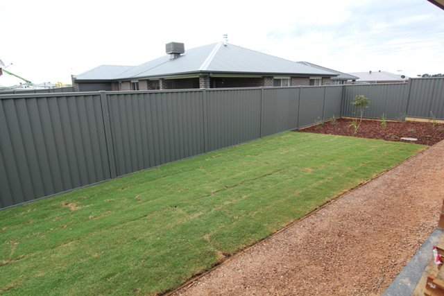 16 Sutcliffe Street Lucas 14