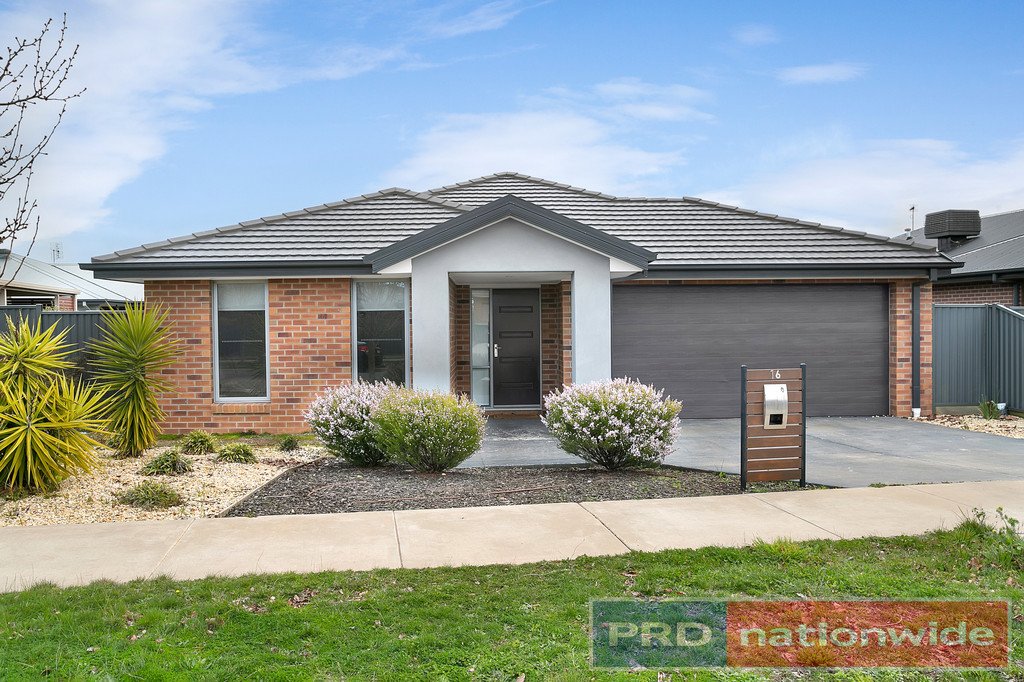 16 Sutcliffe Street Lucas 1