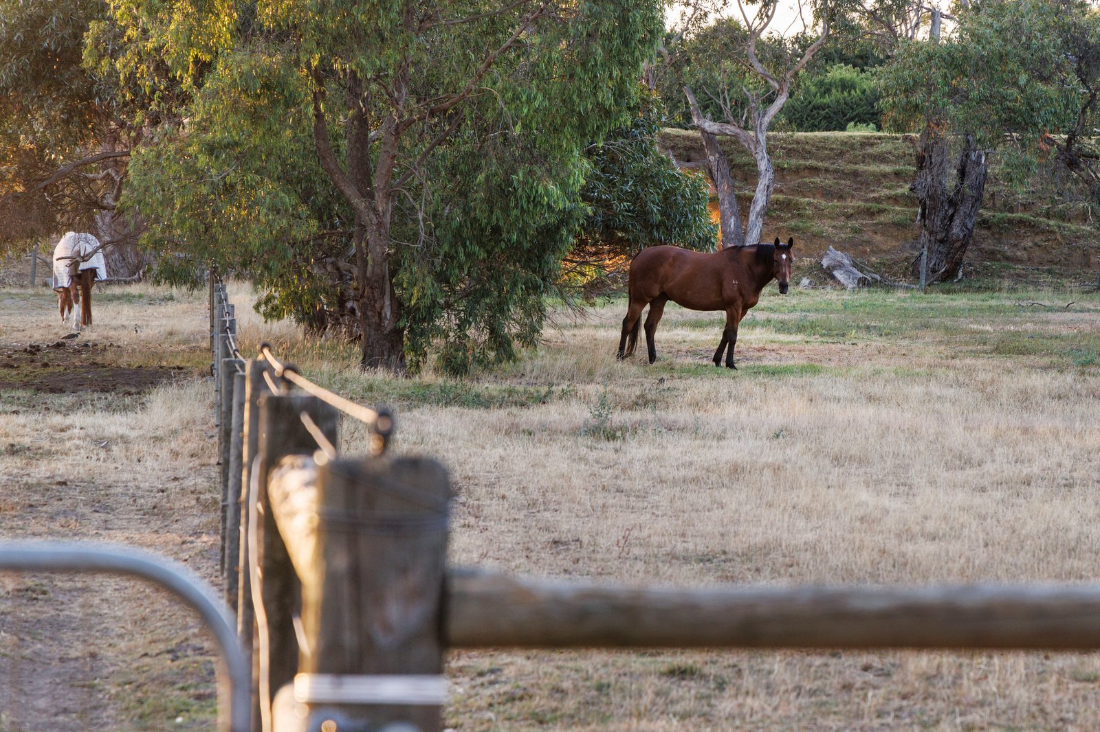 16 Woods Road, Pearcedale, 3912