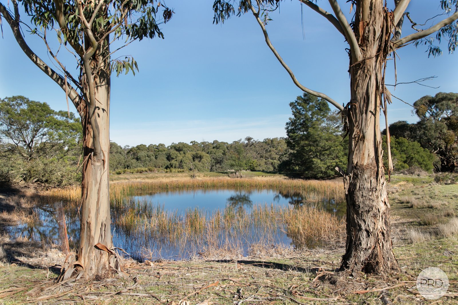 160 Bryants Road LINTON 14