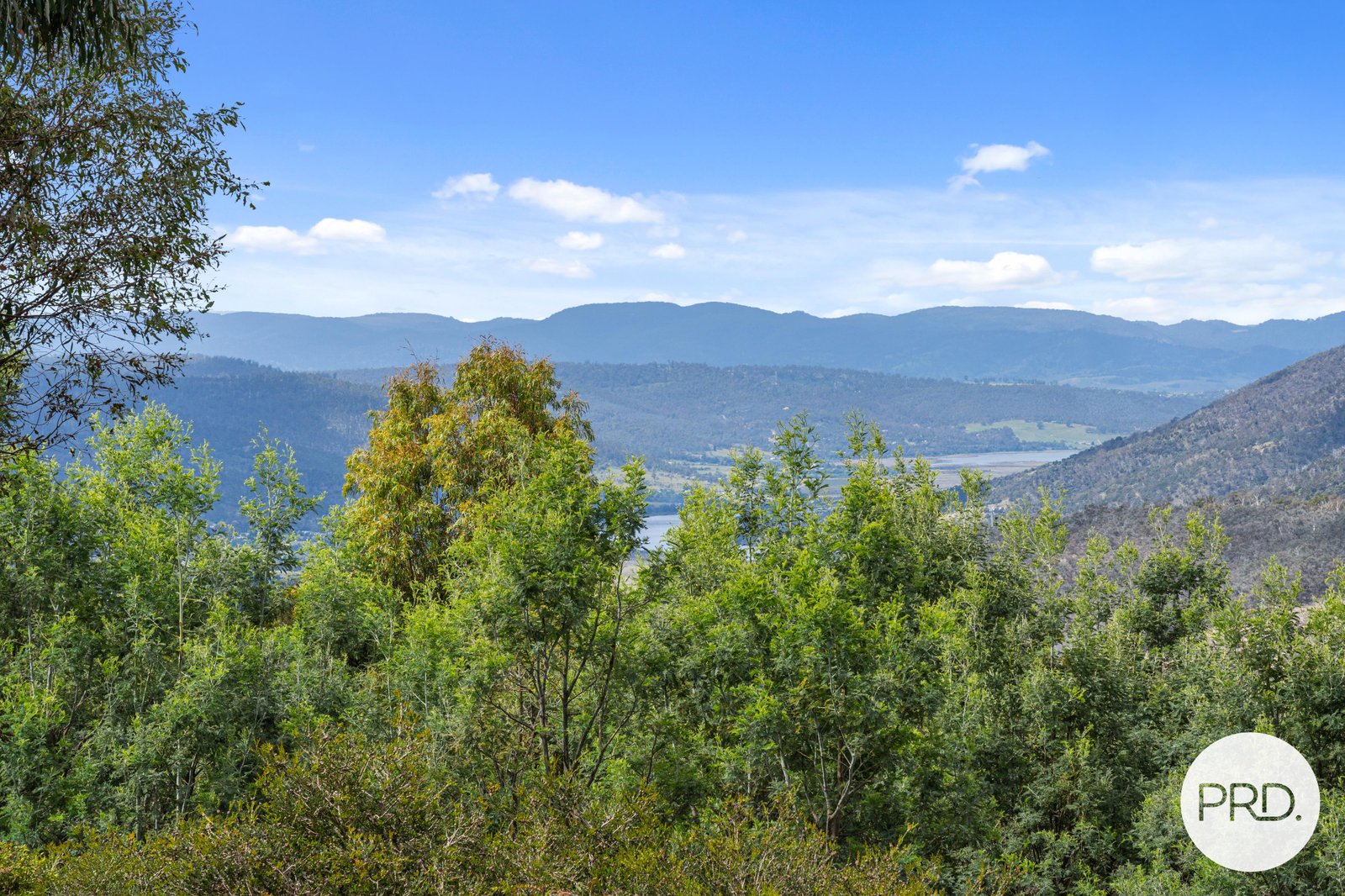 160 Haney Road LACHLAN 4