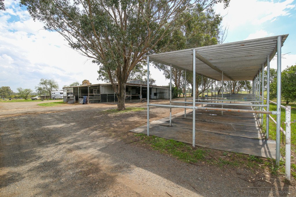 160 Majors Lane LOVEDALE 7