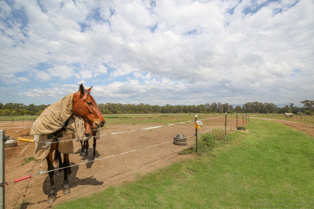 160 Majors Lane LOVEDALE 19