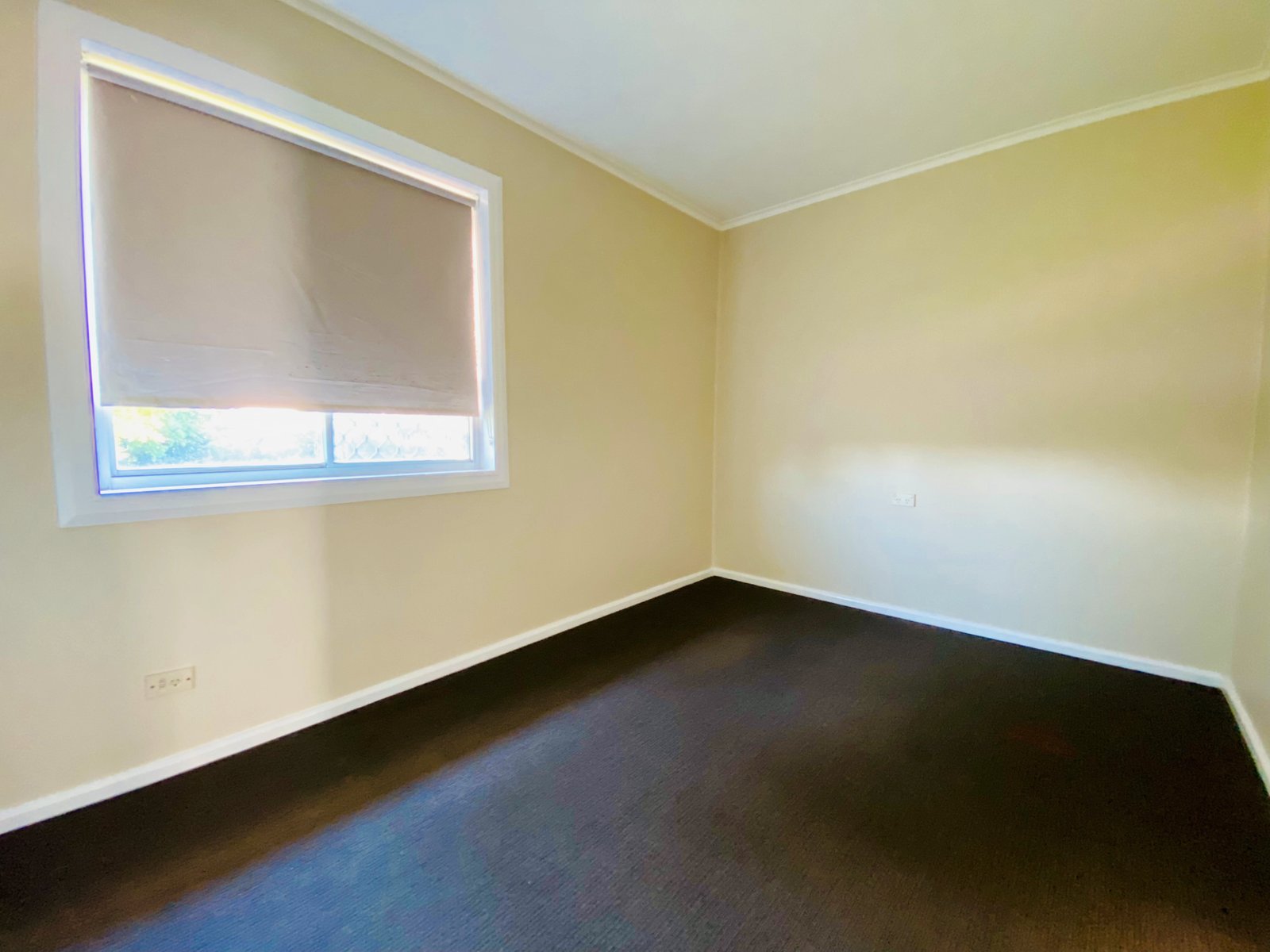 160 Robert Street TAMWORTH 7