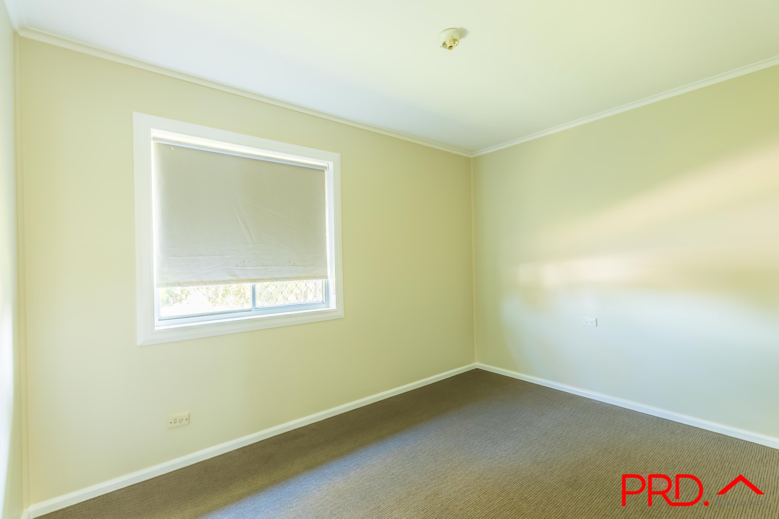 160 Robert Street TAMWORTH 8