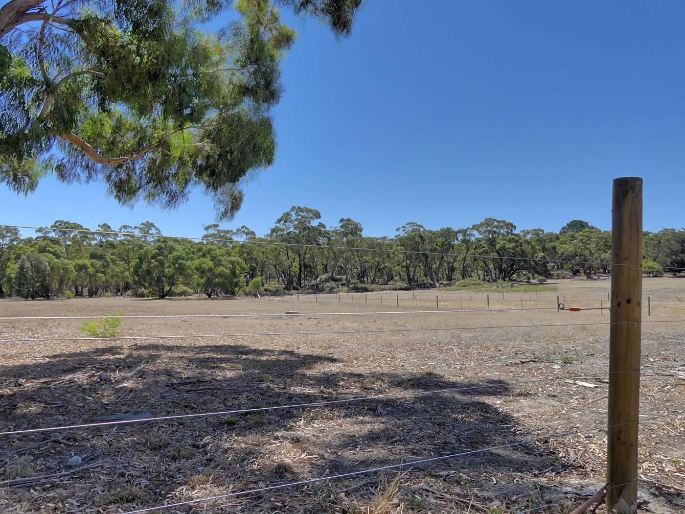 160 Sago Hill Road BUNKERS HILL 5
