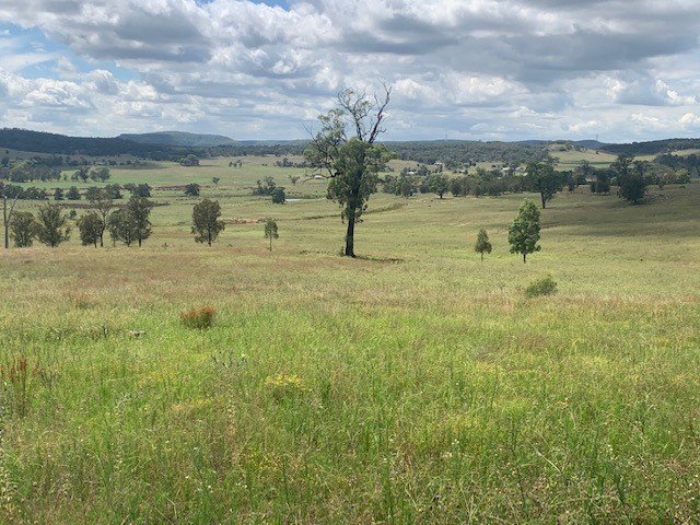 160 Westwood Road GUNGAL 10