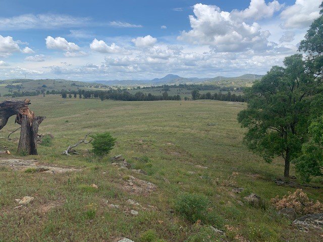 160 Westwood Road GUNGAL 14