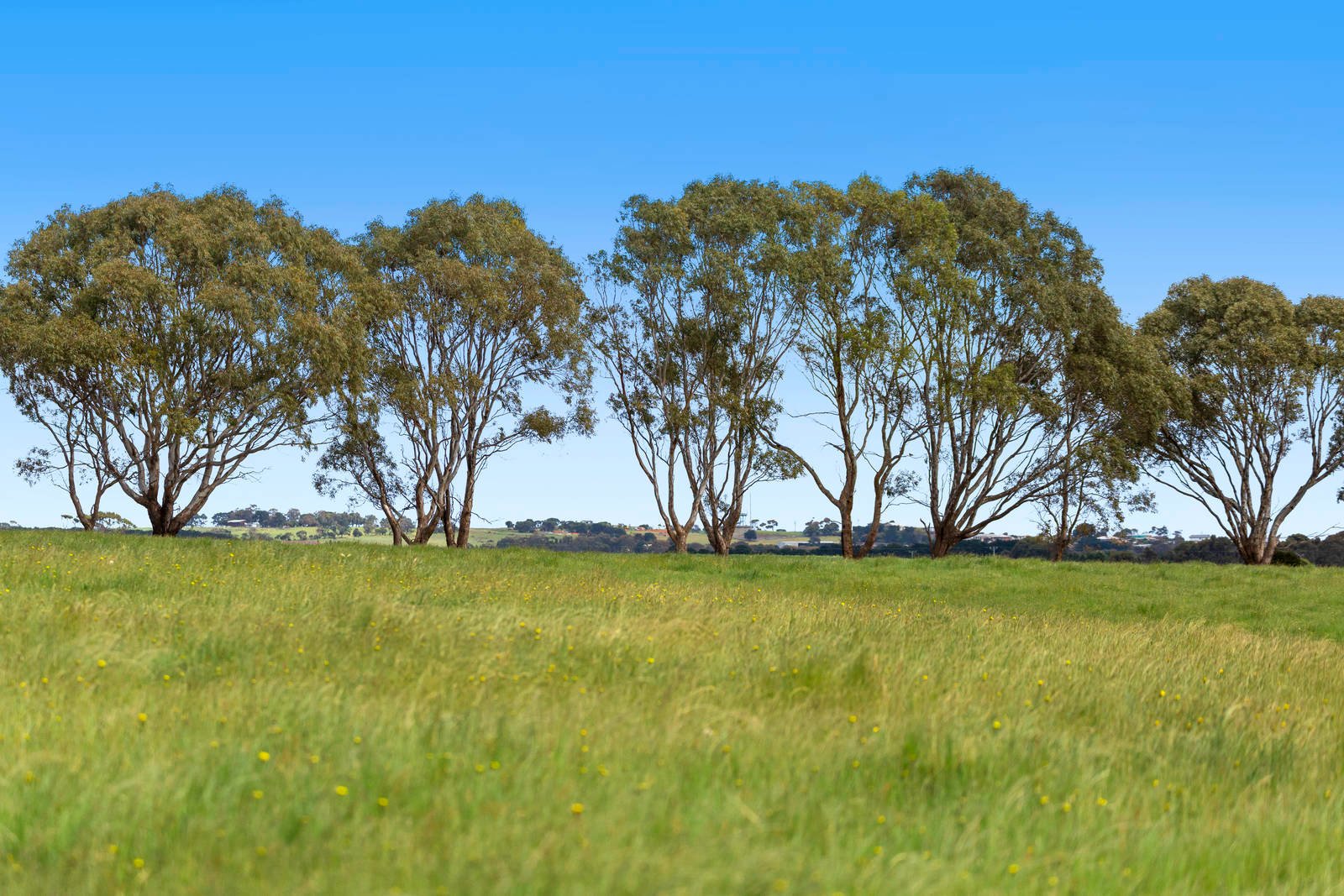 Real Estate and Property in 161-239 Coatsworth Road, Portarlington, VIC