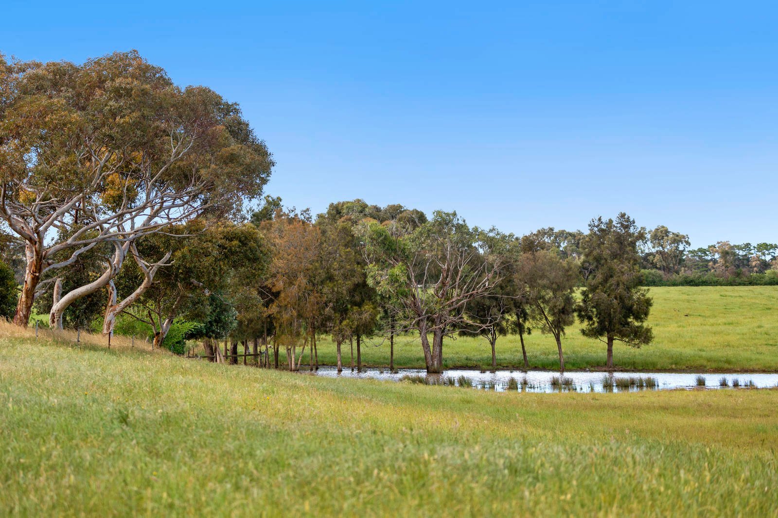 Real Estate and Property in 161-239 Coatsworth Road, Portarlington, VIC