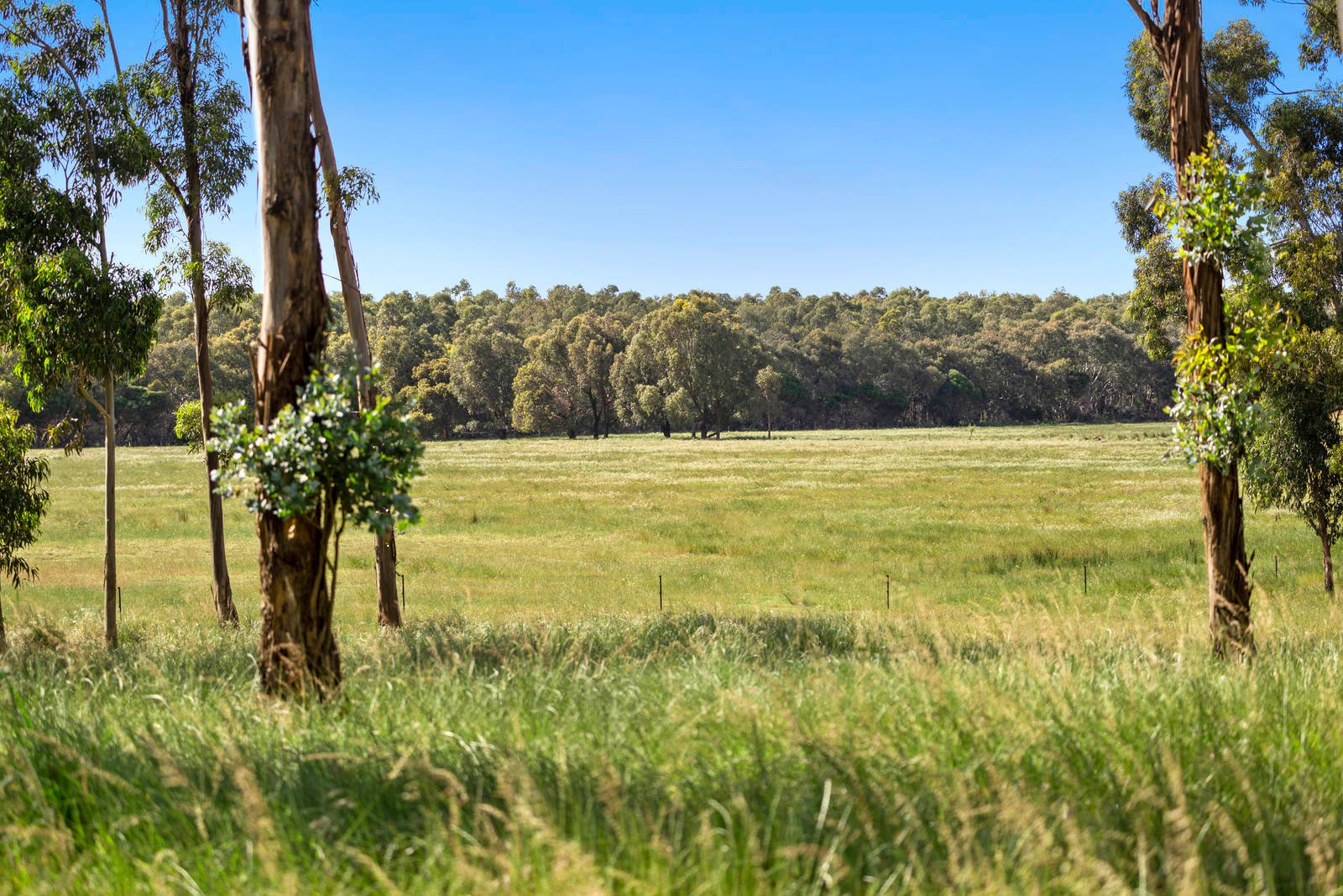 Real Estate and Property in 161-239 Coatsworth Road, Portarlington, VIC