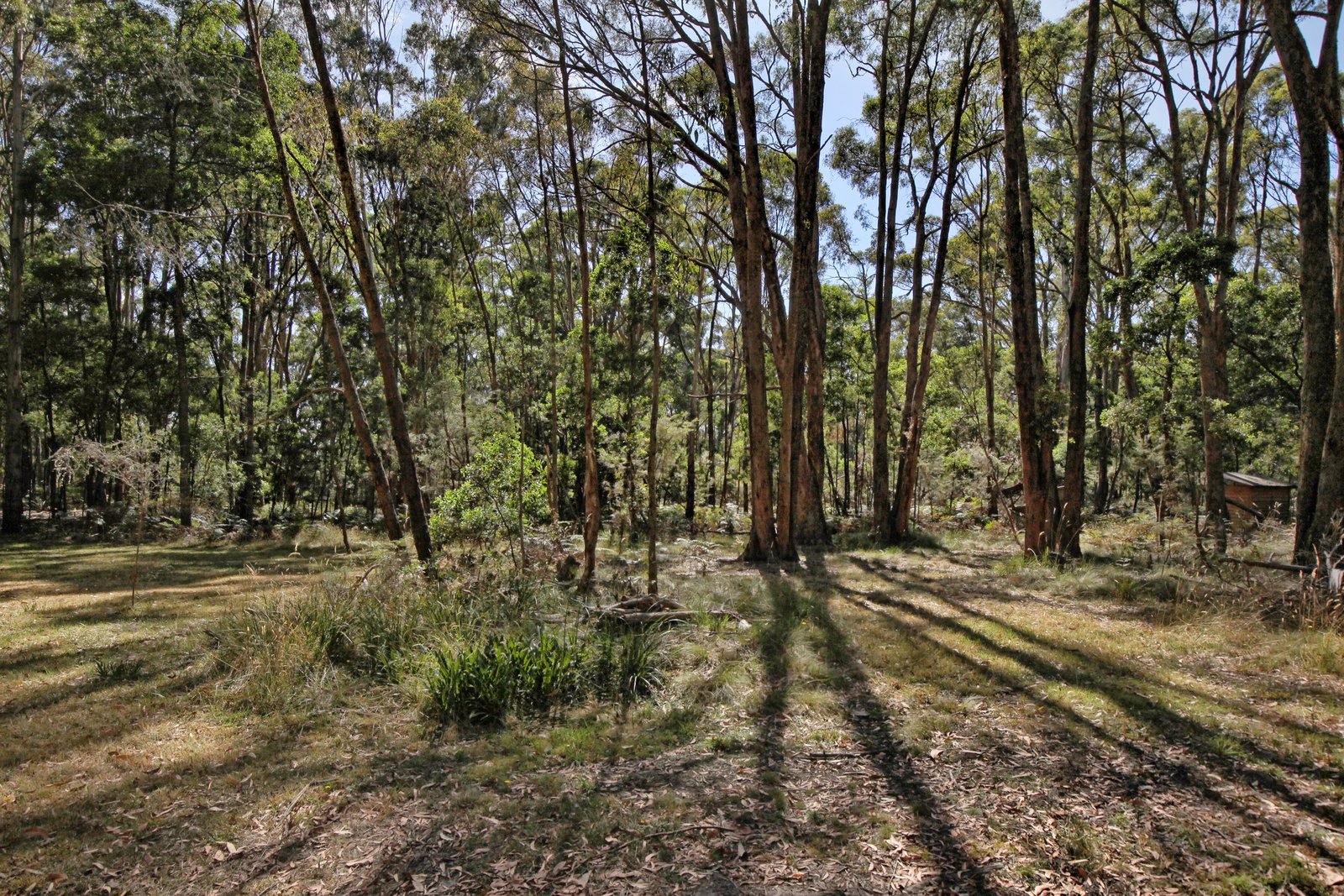 Real Estate and Property in 161 Chambers Road, Ashbourne, VIC