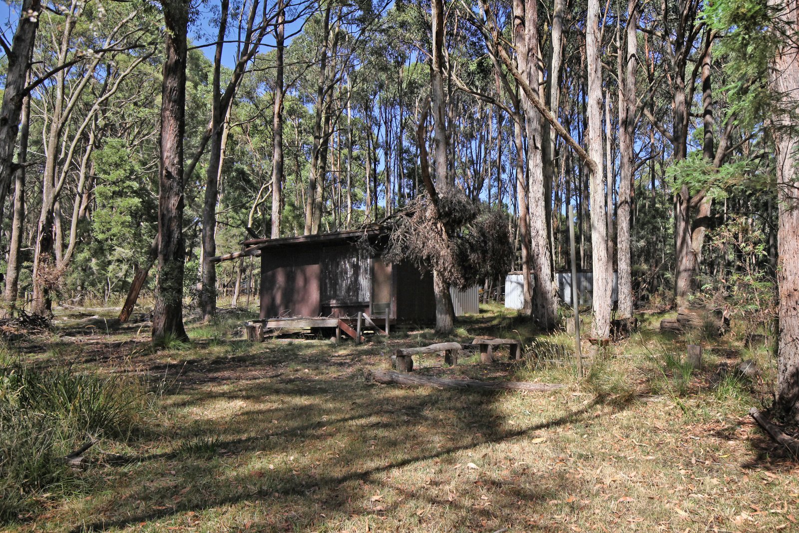 Real Estate and Property in 161 Chambers Road, Ashbourne, VIC