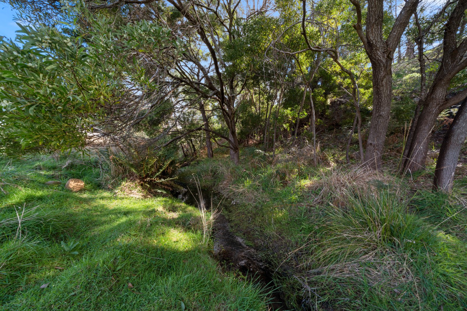 161 Daniels Road MAGRA 30