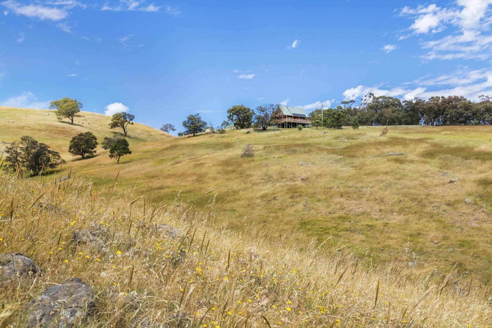 Real Estate and Property in 1615 Dairy Flat Road, Tooborac, VIC