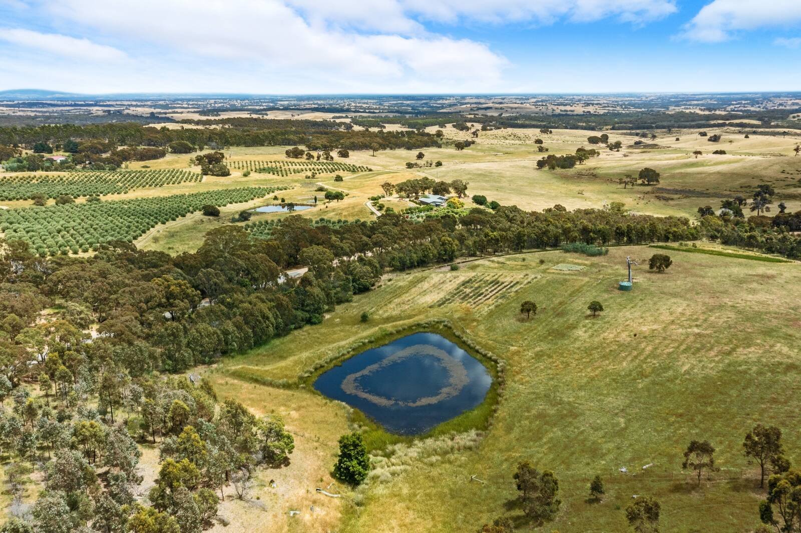 Real Estate and Property in 1615 Dairy Flat Road, Tooborac, VIC